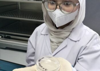 Sel Stem yang dibiakkan dalam makmal Jabatan Farmasi, Universiti Malaya.