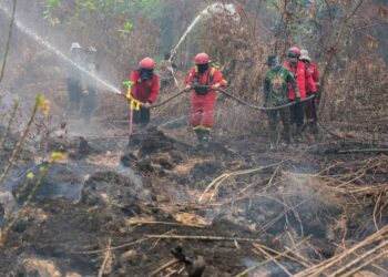 ANGGOTA bomba padam kebakaran hutan di Kubu Raya, Kalimantan. - AFP