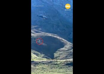 SEEKOR lembu diangkut dengan menggunakan helikopter. - GMA