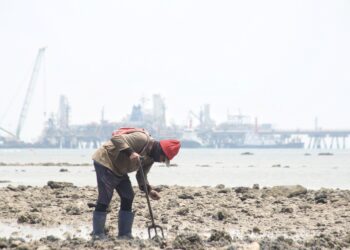 PENCEMARAN kimia berbahaya serta plastik akibat perindustrian, pertanian, perbandaran dan perkapalan terus menjejaskan kepelbagaian biologi marin.