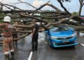 KEADAAN kereta yang dihempap pokok tumbang di Jalan Simpang Pulai-Lahat Station 18, di Ipoh hari ini.