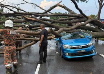KEADAAN kereta yang dihempap pokok tumbang di Jalan Simpang Pulai-Lahat Station 18, di Ipoh hari ini.