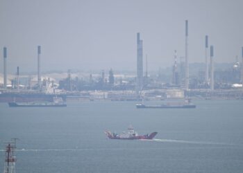 JEREBU melanda Singapura susulan kebakaran hutan di Indonesia. - AFP