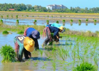 Krisis geopolitik di Asia Barat dan ketidaktentuan cuaca termasuk El-Nino boleh menjejaskan rantaian bekalan makanan negara.