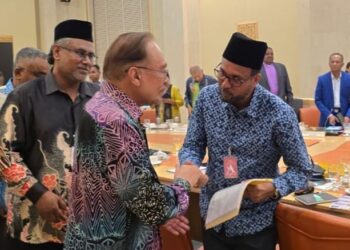 Persekutuan Pertubuhan India Muslim Malaysia (PERMIM) mencadangkan seorang wakil khas atau penyelaras dilantik di Pejabat Perdana Menteri bagi menyelaras dan memberi perhatian khusus terhadap keperluan serta isu masyarakat India Muslim di negara ini.