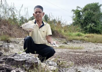 ABDUL Halim Jusoh menunjukkan debu gunung berapi dari Danau Toba, Sumatera, Indonesia yang masih didapati di pekarangan rumahnya di Kampung Padang Nyior, Padang Terap, Kedah.
