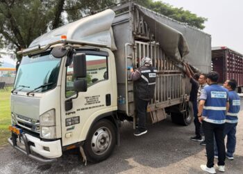 ABATAN Perkhidmatan Veterinar Perak berjaya menahan sebuah lori yang membawa 19 ekor lembu tanpa kebenaran di Jalan Sir Chulan di Selama, hari ini.