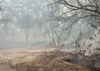 HUTAN seluas kira-kira dua ekar di Bandar 16 Sierra, Puchong, terbakar pagi tadi.