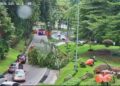 INSIDEN pokok tumbang dilaporkan di Jalan Istana, mengakibatkan kesesakan trafik dari arah Lebuh Raya Sungai Besi (Besraya) dan Jalan Sungai Besi menuju ke Jalan Damansara.