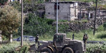 SEBUAH jentolak Israel mencabut pokok zaitun di Tebing Barat. - AFP