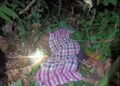 LELAKI Orang Asli, Zamberi Angah maut selepas dipercayai diserang harimau belang ketika mencari rotan di Kampung Takung, Pos Perwor, Sungai Siput semalam.
