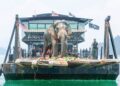 Gajah liar yang dikenali sebagai Sulong yang tular kerana berkeliaran di Jalan Raya Timur-Barat (JRTB) di Kelantan dibawa menggunakan rumah bot untuk dipindahkan ke Taman Negeri, Tasik Kenyir,  Terengganu, baru-baru ini. – MINGGUAN/PUQTRA HAIRRY