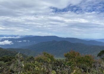 KAWASAN Gunung Trans Gerah di Hutan Simpan Kekal Lojing, Gua Musang, Kelantan.