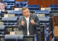 SAIFUDDIN NASUTION ISMAIL