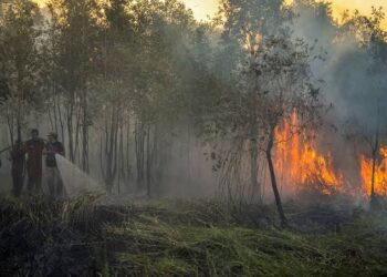 HUTAN perlu diurus secara lestari bagi menjamin kesejahteraan rakyat dan generasi akan datang.