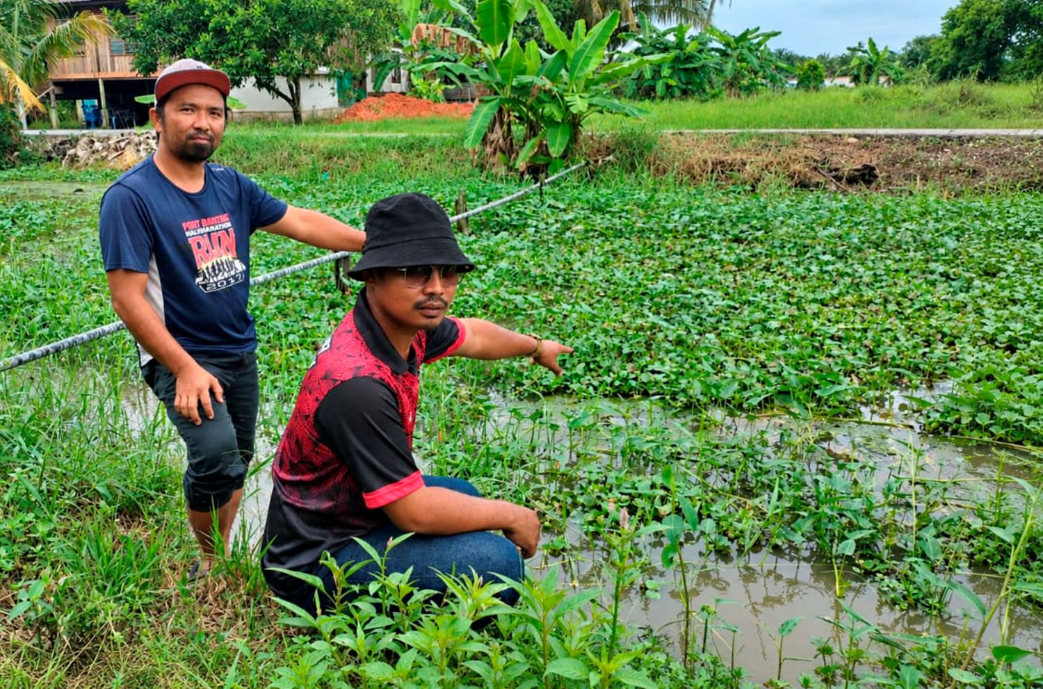 Masalah parit, 40 hektar sawah terjejas Masalah parit, 40 hektar sawah terjejas