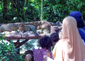 KECINTAAN terhadap alam dan haiwan perlu dipupuk sejak kecil melalui keluarga, sekolah dan naratif yang membina empati.