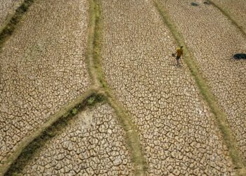 TANAH sawah padi kering akibat ketiadaan hujan terlalu lama di Bogor, Indonesia. - AFP