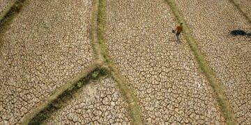 TANAH sawah padi kering akibat ketiadaan hujan terlalu lama di Bogor, Indonesia. - AFP