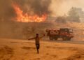 KEBAKARAN hutan boleh meningkatkan kes kanser kepada, leher dan tekak. - AFP