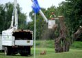 SEORANG pekerja memotong dahan pendek sebatang pokok di East Potomac, Washington pada 3 September. - AFP