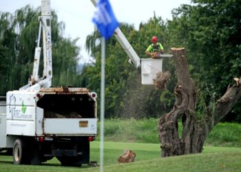 SEORANG pekerja memotong dahan pendek sebatang pokok di East Potomac, Washington pada 3 September. - AFP