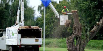 SEORANG pekerja memotong dahan pendek sebatang pokok di East Potomac, Washington pada 3 September. - AFP