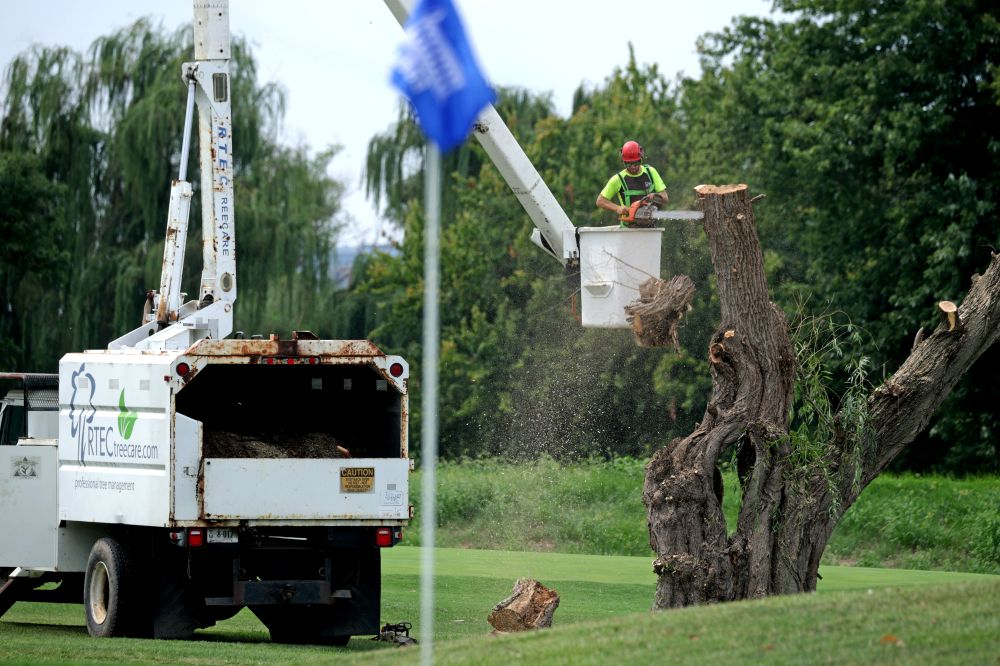 500 pokok ditebang, projek padang golf Trump disekat 500 pokok ditebang, projek padang golf Trump disekat