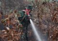 STRATEGI memadam kebakaran hutan dikaji semula. - AFP