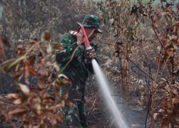 STRATEGI memadam kebakaran hutan dikaji semula. - AFP