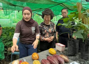 HONG Kim Fah (tengah) bersama kakitangan Teck Guan Cocoa Village, 
memberi keterangan mengenai koko kepada pelancong.