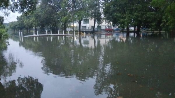 Mandi di tasik buatan
