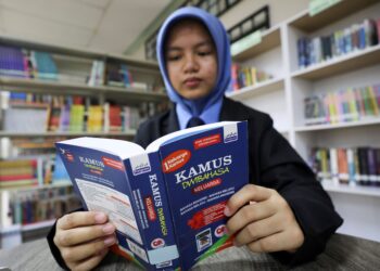 IA bukan sekadar “jangan guna bahasa rojak”, tetapi tahu bila bahasa santai boleh digunakan dan bila bahasa Melayu standard perlu digunakan
