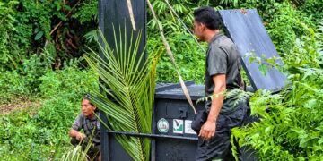 ANGGOTA Perhilitan memasang perangkap bagi menangkap harimau di kawasan Kampung Nara, Sungai Mengkuang, Kuala Krai, Kelantan.
– IHSAN PENDUDUK