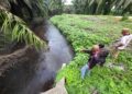 PENDUDUK menunjukkan air parit yang tercemar dipercayai daripada sisa buangan kilang kelapa sawit di Langkap di Pasir Salak, Perak - UTUSAN/AIN SAFRE BIDIN
