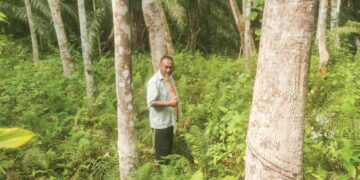 ANUAR Mustakim di sebuah kebun getah berskala dua hektar 
di Jerantut, Pahang.