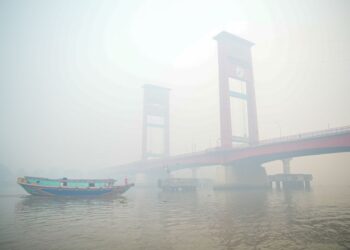 JEREBU yang melanda Palembang kelmarin. - AFP