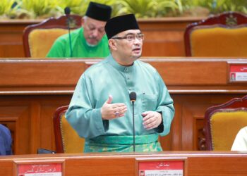 MOHAMED FADZLI HASSAN