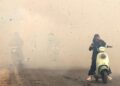 JEREBU teruk melanda Kalimantan. - AFP