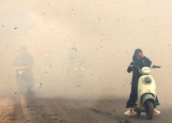 JEREBU teruk melanda Kalimantan. - AFP