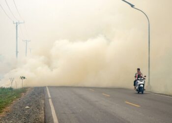 ASAP akibat kebakaran hutan di sebatang jalan raya di Baroto, Kalimantan. - AFP