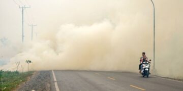 ASAP akibat kebakaran hutan di sebatang jalan raya di Baroto, Kalimantan. - AFP