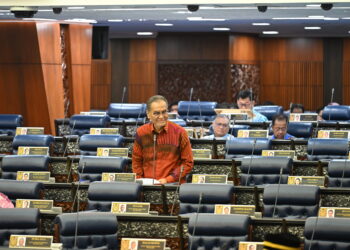 DZULKEFLY AHMAD