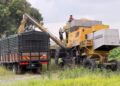 PETANI tidak menerima hasil yang baik untuk penanaman padi Musim
1/2026 ekoran masalah kelewatan baja yang diedarkan.