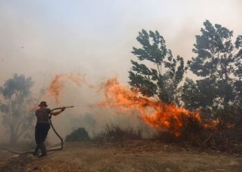 TIGA syarikat pelaburan asing disyaki terlibat dalam kebakaran hutan dan tanah di Indonesia. - AFP