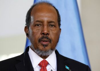 HASSAN SHEIKH MOHAMUD