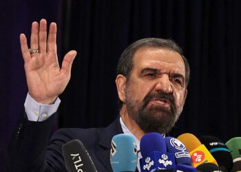 MOHSEN REZAEI