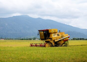 SEBELUM mengejar sasaran sekitar 80 peratus menjelang 2030, cabaran pertama ialah mengubah trend dan memastikan SSR negara kembali meningkat secara mampan.
