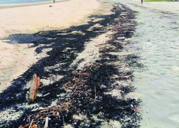 PESISIRAN Pantai Teluk Kalong, Kemaman, Terengganu dicemari arang batu sejak tahun lalu. – MEDIA SOSIAL