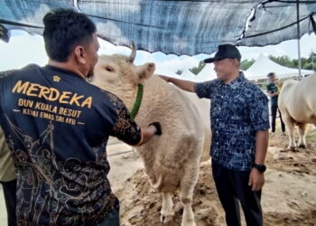AZMAN Ibrahim (kanan) melihat lembu baka besar yang dipamerkan Program Himpunan Ruminan 2026 di Pekan Jabi, Besut, Terengganu. - UTUSAN / WAN ZURATIKAH IFFAH WAN ZULKIFLI